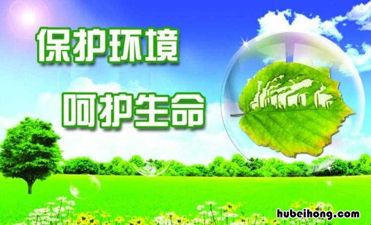 关于环境保护的宣传标语有哪些 关于环境保护的宣传标语有哪些呢