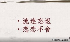 关于眷恋的成语有哪些 表示眷恋的词语两个字