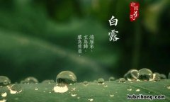 关于节气白露的诗句有哪些 描写节气白露的诗句有哪些