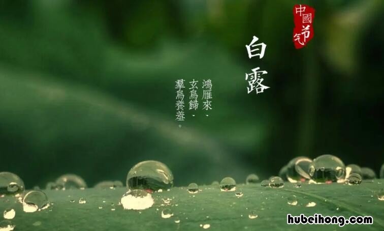 关于节气白露的诗句有哪些 描写节气白露的诗句有哪些