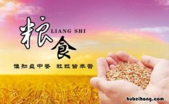 关于节约粮食的作文怎么写 关于节约粮食的作文怎么写三年级下册英语