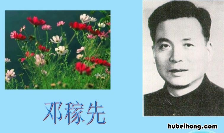 关于邓稼先的作文怎么写 邓稼先的作文600字