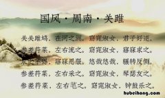 关关雎鸠下一句是什么 关关雎鸠下一句是什么窈窕淑女下一句是什么