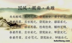 关关雎鸠全文翻译是什么 关关雎鸠下一句是啥