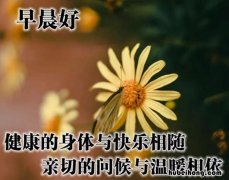 关心的话语有哪些 关心简短句子