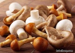 菌菇的保存方法 菌菇如何保鲜