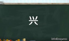 兴的多音字组词有哪些 兴的多音字组词怎么组