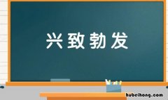 兴致勃发的近义词是什么 兴致勃勃的近义词是哪些