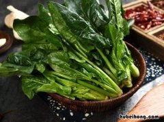 菠菜吃不完怎么能长期保存不坏 菠菜吃不完怎样保存