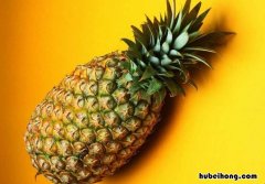 菠萝如何看好不好 怎样看菠萝好坏
