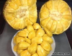 菠萝蜜剥开后如何保存 菠萝蜜剥开后如何保存时间长