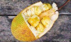 菠萝蜜剥开之后怎么保存时间长 菠萝蜜剥开之后可以放多久