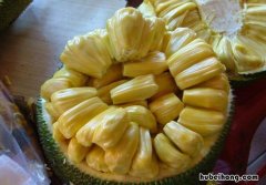 菠萝蜜汁水粘在手上怎么去掉 菠萝蜜汁弄到手上怎么去掉