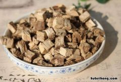 葛根和粉葛的功效与作用及禁忌 葛根和粉葛的区别