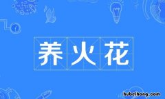 养火花什么意思