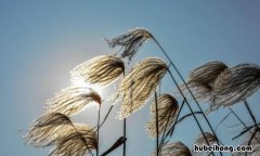 冬天的风像什么比喻句有哪些 冬天的风像什么造句二年级