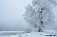冬雪雪冬小大寒是什么意思 一年24节气分别是哪些
