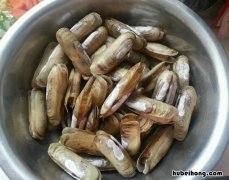 带泥蛏子的保存方法视频 刚挖的带泥蛏子怎么保存好