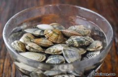 蛤蜊去泥沙的方法有哪些