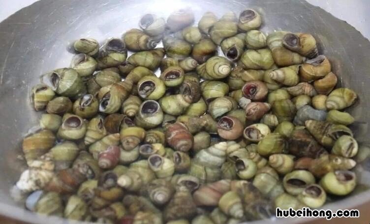 田螺表面的青苔怎么洗最快最干净 洗螺丝用什么方法最快干净