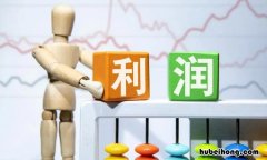 利润表计算公式是什么 利润表的计算公式以及填写方法视频