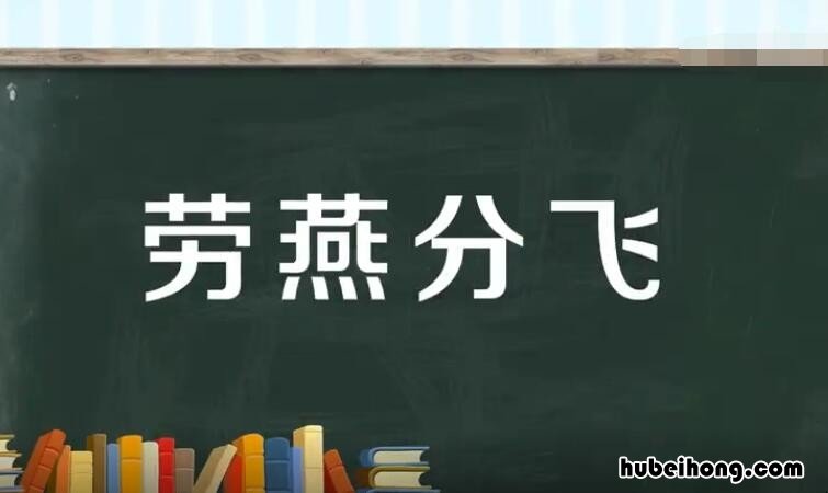 劳燕分飞是什么意思 好事多磨的含义