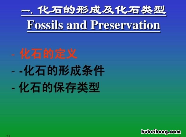 化石形成的条件是什么 化石的形成需要具备的两个条件是什么