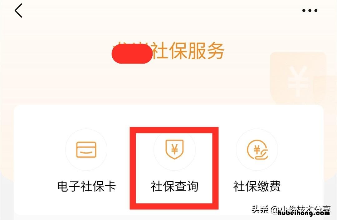微信如何查社保个人账户余额 微信怎么查社保余额?