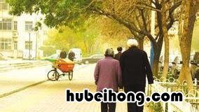 如果失业保险不领,钱还在吗 领失业金期间没交养老保险需要补交么