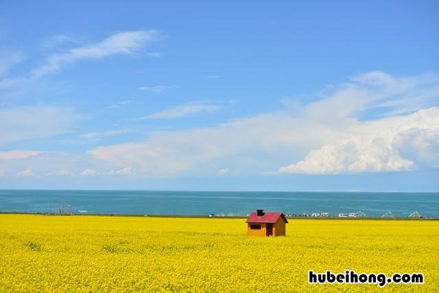 中国最大的青海湖 中国最大的湖泊是青海