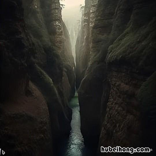 最深的海有多深? 最深的海洋有多大
