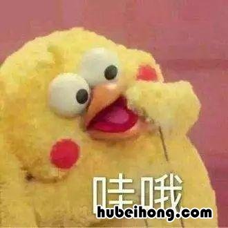 中国四大草原分别在哪里? 中国四大草原在哪里