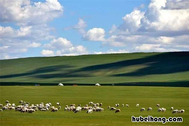 中国四大草原分别在哪里? 中国四大草原在哪里