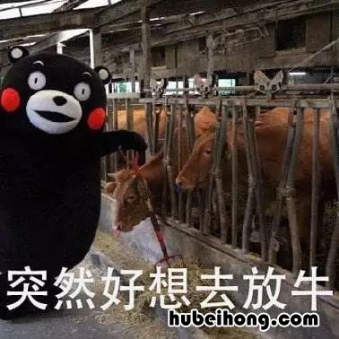 中国四大草原分别在哪里? 中国四大草原在哪里