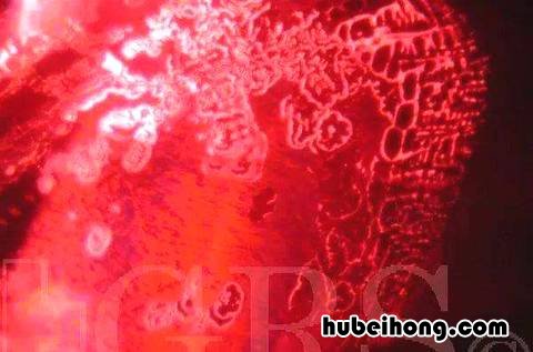 怎样鉴别红宝石的真假图片 怎样鉴别红宝石的真假图解