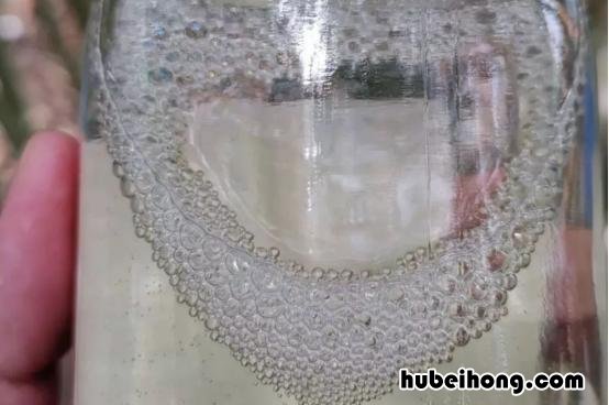 白酒辨真假最有效方法 白酒如何辨认真假