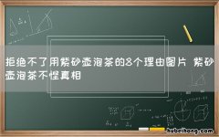 拒绝不了用紫砂壶泡茶的8个理由图片 紫砂壶泡茶不馊真相