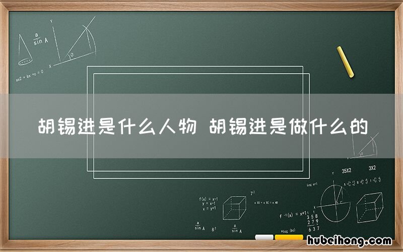 胡锡进是什么人物 胡锡进是做什么的