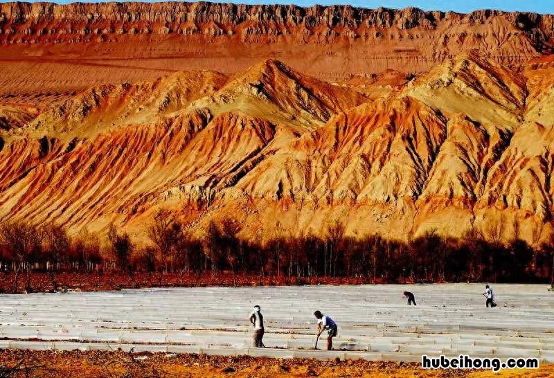 地球上最高的山是 地球上最高的山是哪个山