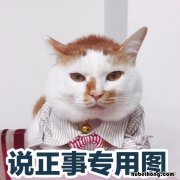 建筑师和建造师哪个厉害 建造师与建筑师的区别详解