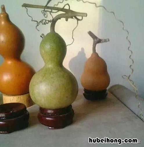文玩葫芦怎样去掉外皮 文玩葫芦有个坑儿怎么修复