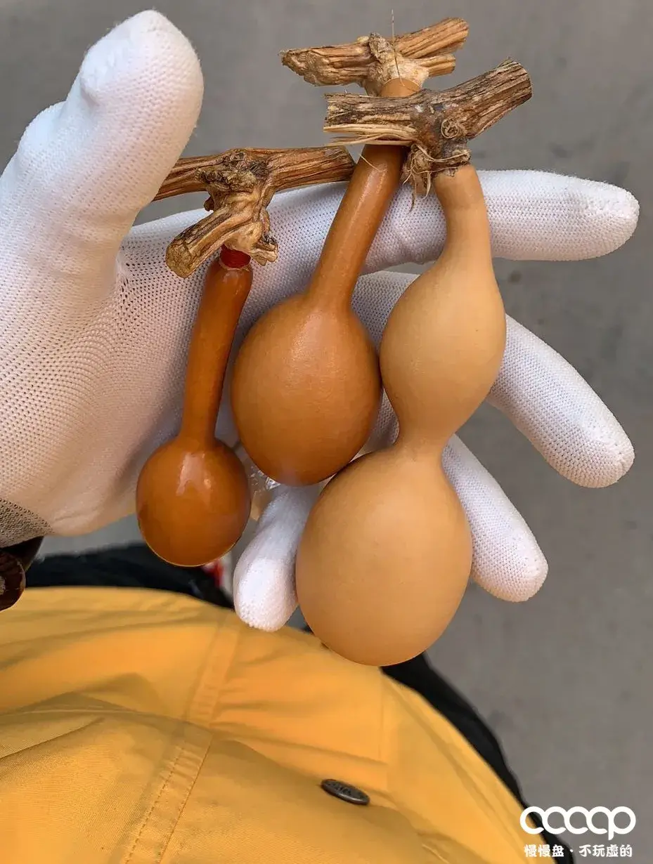 盘葫芦的手套 小葫芦用手套盘可不可以