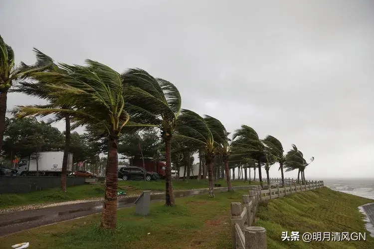 为什么夏天会有台风呢 为什么夏天才会有台风