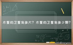 木星的卫星有多大? 木星的卫星有多少颗?
