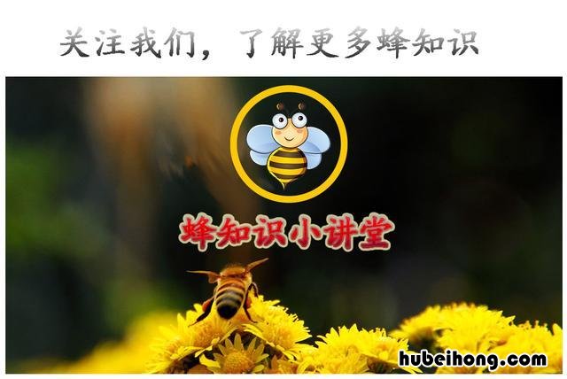 蜂蜜分为哪几种类型 蜂蜜怎么分等级划分