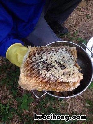 蜂蜜分为哪几种类型 蜂蜜怎么分等级划分