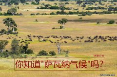 热带草原气候形成的原因是什么 热带草原气候受什么气压带影响