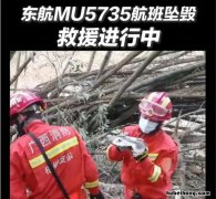 波音737max事件始末 波音370事件
