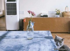 交接房子需要注意什么 房屋交接的时候会给哪些东西送到