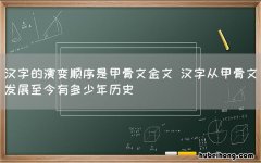 汉字的演变顺序是甲骨文金文 汉字从甲骨文发展至今有多少年历史